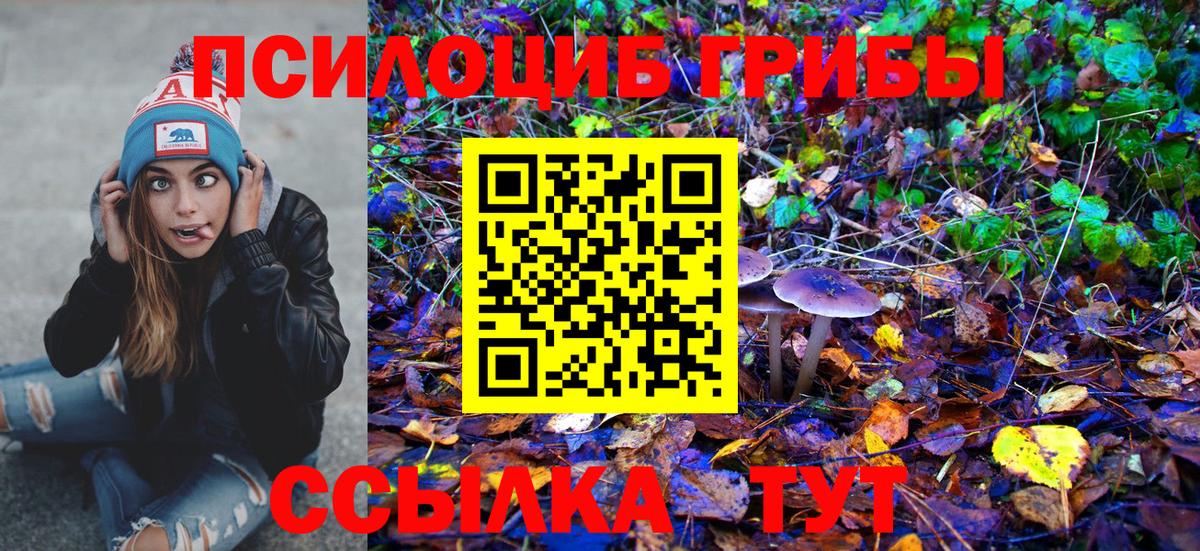 Псилоцибиновые грибы Psilocybine cubensis  Вход с VPN  Мелеуз 